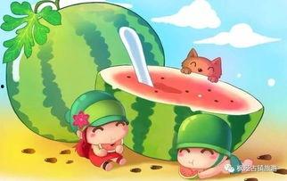 娱乐吃瓜小将王惠小说,娱乐圈的吃瓜小将，揭秘明星背后的故事